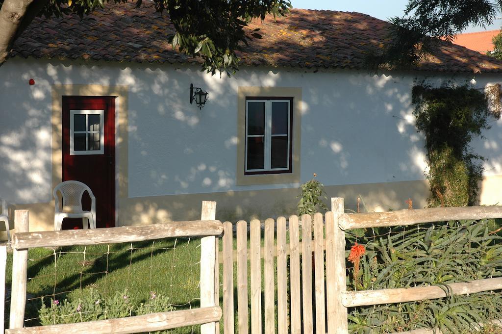 Casa Da Tia Guida Bed & Breakfast Golegã Exterior photo